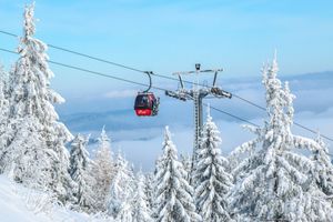 Images/gondola Snow Trees Preview.jpg