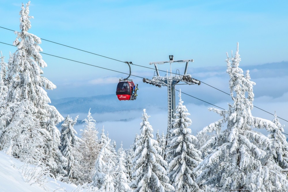 Gondola Snow Trees.jpg